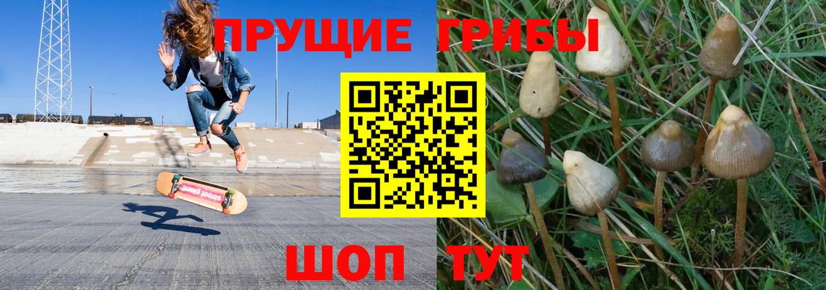 Галлюциногенные грибы Psilocybe  Вход с VPN  Симферополь 